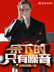 余下的，只有噪音封面